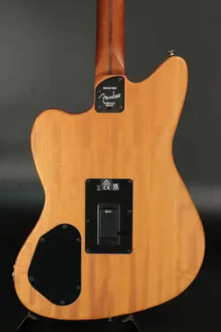 PLAYER JAZZMASTER TONE