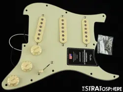LOADED PICKGUARD TIM