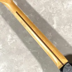 PROFESSIONAL TELECASTER 3-TONE