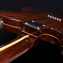 FENDER ALL ROSEWOOD TELECASTER SAFE DELIVERY FROM JAPAN