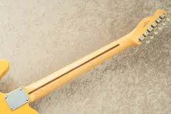 NOCASTER -BUTTERSCOTCH BLONDE-4.21KG