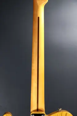 TELECASTER ASH BIGSBY