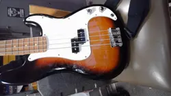 BASS SUNBURST 2022