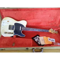 USA TELECASTER NO.LG1699