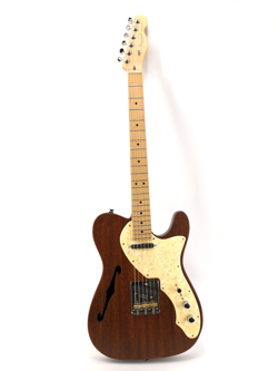AMERICAN FENDER TELECASTER 6 STRING IN SOFT CASE - BROWN