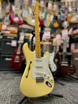 SIGNATURE STRATOCASTER THINLINE