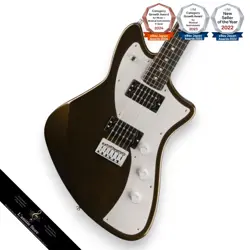 METEORA EBONY FRETBOARD