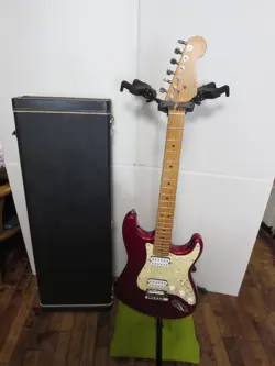 APPLE STRATOCASTER CASE