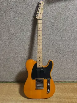 YELLOW AFFINITY SQUIRREL