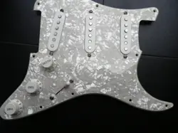 LOADED PICKGUARD S/S/S
