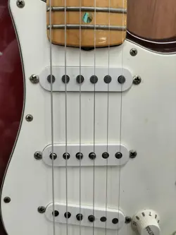 CUSTOM SHOP ROBIN
