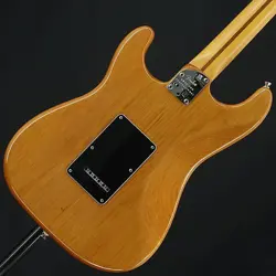 PROFESSIONAL 2STRATOCASTER