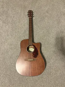 ACOUSTIC-ELECTRIC GUITAR BASICALLY