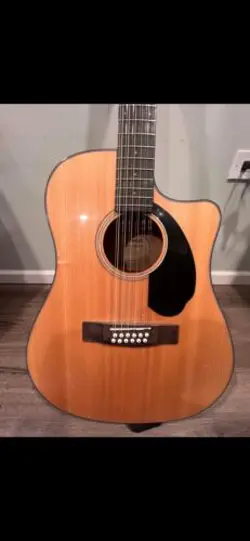 12 STRING ACOUSTIC/