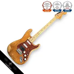 SOLID BODY 3XSINGLE/1XHUMBUCKER