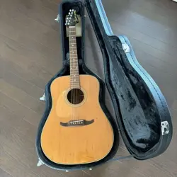 C-3 GUITAR