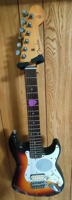 EARLY MODEL SUNBURST