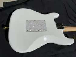 SEYMOUR DUNCAN PICKUPS