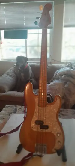 70-71 GORGOUS WORKINGS