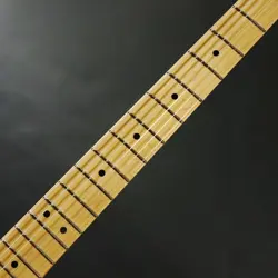 TELECASTER WITH MAPLE
