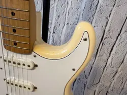 JAPAN ST-STD STRATOCASTER