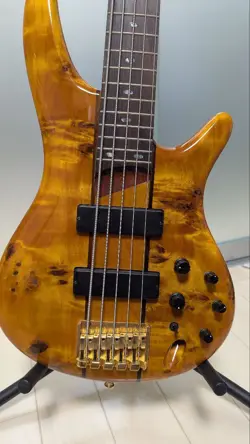 IBANEZ 5-STRING ELECTRIC BASS GUITAR SR-805AM USED FROM JAPAN WITH FENDER SC