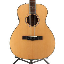 FENDER PM-TE TRAVELER
