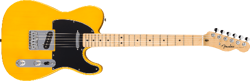 FENDER STANDARD TELECASTER®
