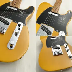 II TELECASTER ROASTED