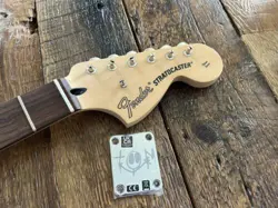 NEW FENDER TOM DELONGE STRATOCASTER NECK W/ TUNERS   NECK PLATE 2023 ROSEWOOD