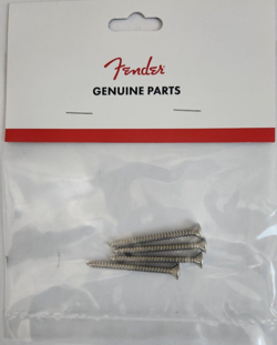 MOUNTING SCREW CHROME