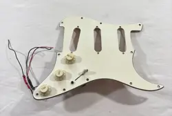 PICKGUARD CUSTOM WIRING