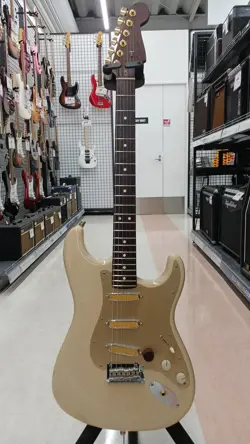 DSD ELECTRIC GUITAR-01