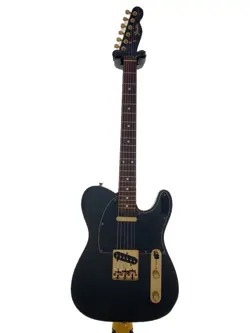 FENDER JAPAN TLG80-60/BLK/1993