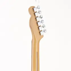 TELECASTER BLACK ROSEWOOD