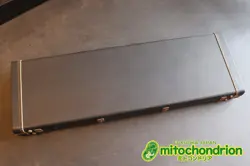 MUSTANG SUNBURST USED