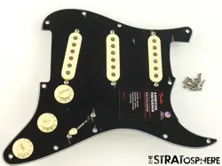 PERFORMER TIMBER STRATOCASTER