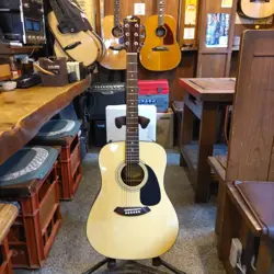 GUITAR SETUP INCLUDED