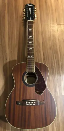 12-STRING ACOUSTIC GUITAR