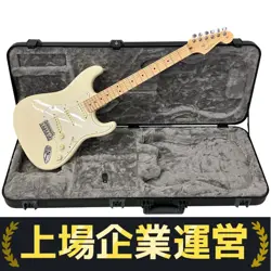 ELECTRIC GUITAR FENDER AMERICAN PROFESSIONAL STRATOCASTER MN OWT 2017 US17002992