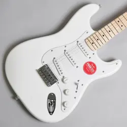 PICKGUARD ARCTIC NO250705