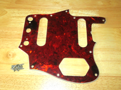 FENDER 1969 TORTOISE