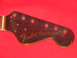 FENDER 1967 BOUND