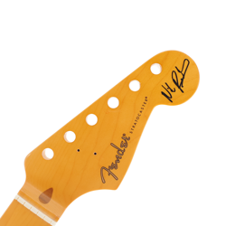 AMERICAN NILE ROGERS