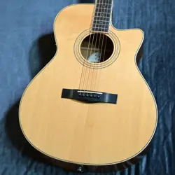 AUDITORIUM CUSTOM ACOUSTIC