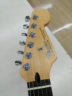 ROSEWOOD FINGERBOARD W/SOFT