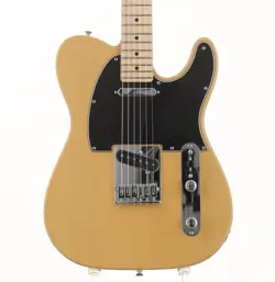 BUTTERSCOTCH BLONDE NO250809