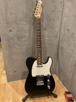 FENDER TELECASTER USA STANDARD 2008 / ELECTRIC GUITAR / MADE IN USA