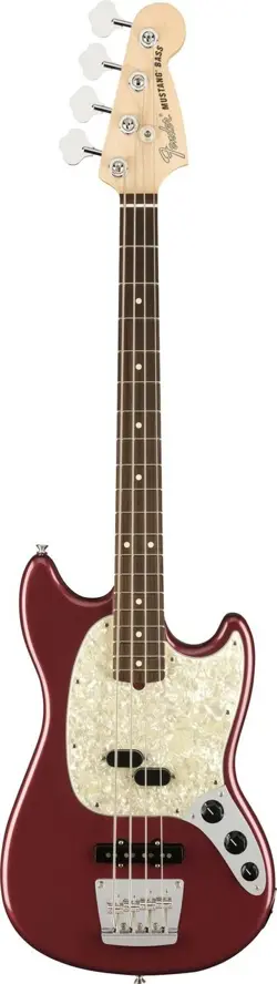 AUBERGINE FENDER