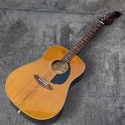 INSTRUMENTS FENDER GUITAR